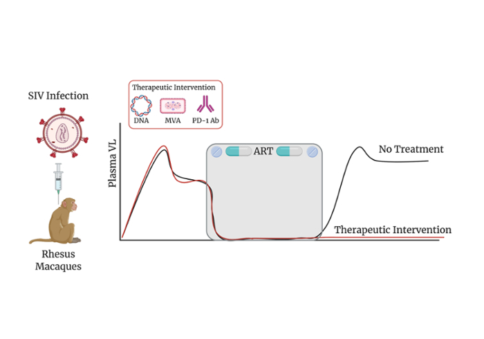 Developing HIV treatment strategy