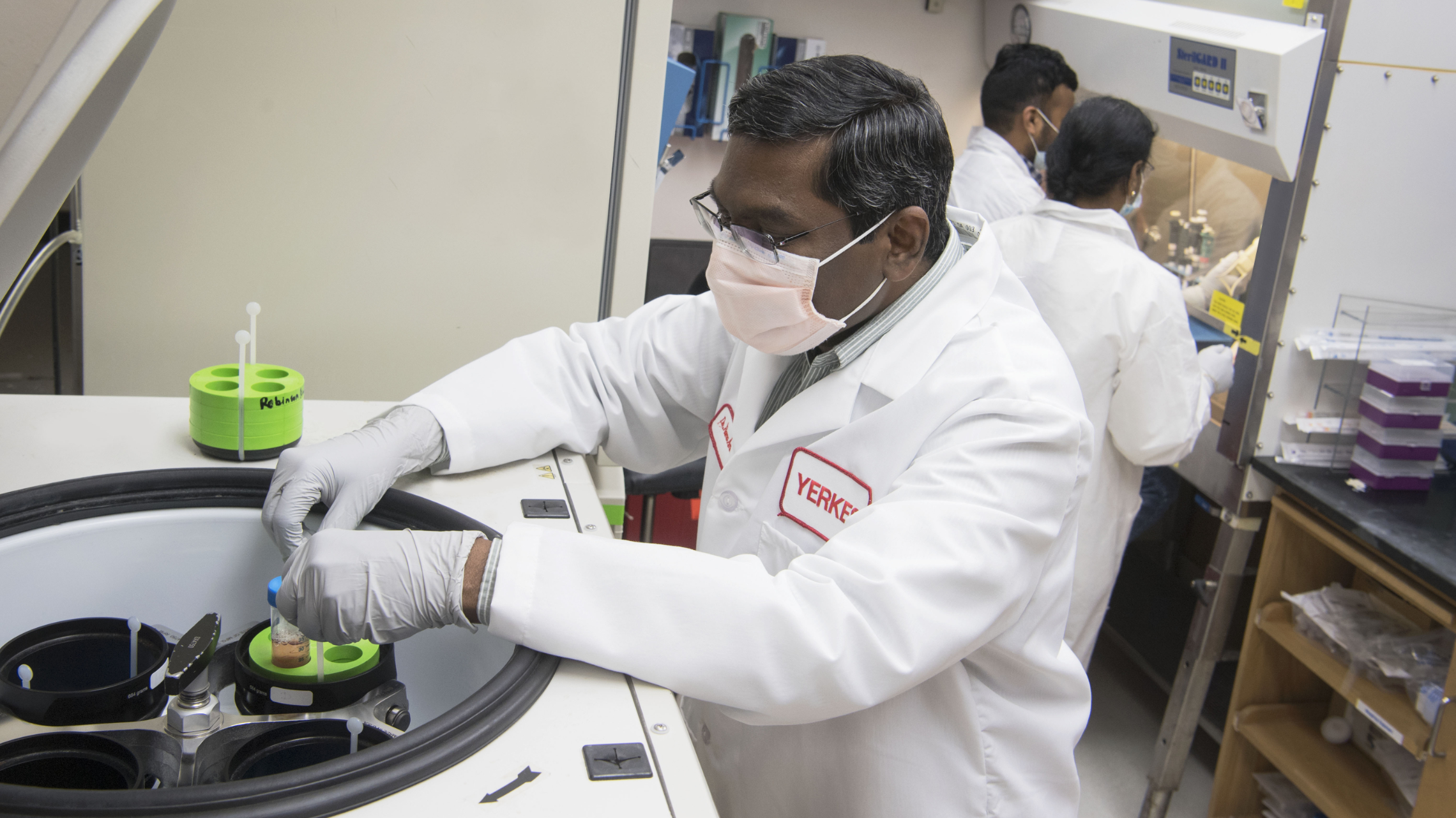 Team members working in the lab.